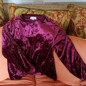 Velvet Top